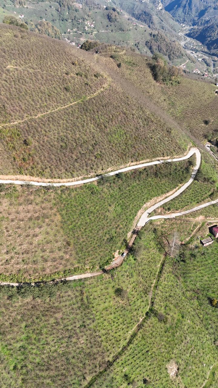 MABEL GAYRİMENKUL-ŞEYHMUSA KÖYÜ FIRSAT FINDIK BAHÇESİ